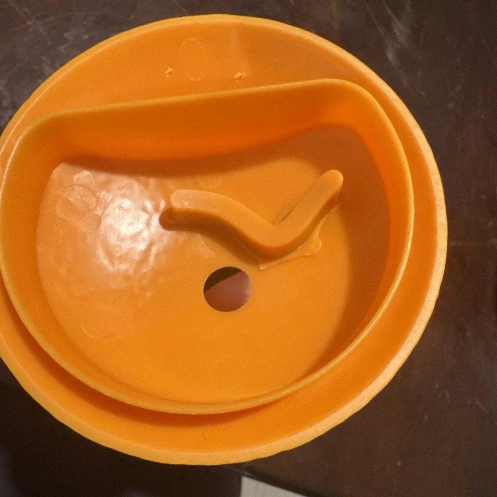 RETIRED Disney World EPCOT 2020 Flower Garden Festival Orange Bird Sipper Cup